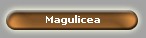 Magulicea